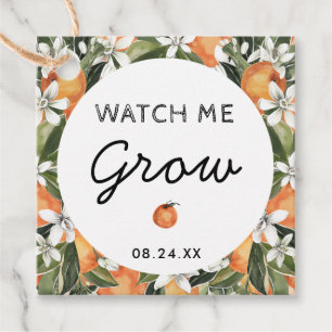Étiquettes Cadeau Citrus Watch Me Croissance Succulent Faveurs Merci