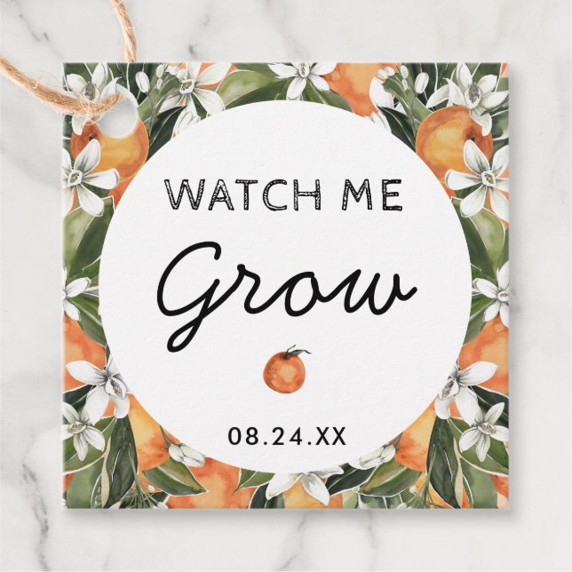 Étiquettes Cadeau Citrus Watch Me Croissance Succulent Faveurs Merci (Devant)