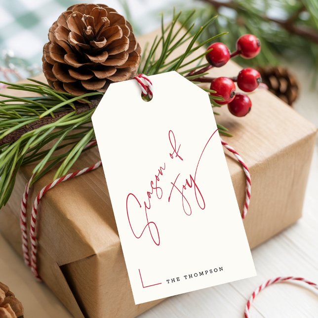 Étiquettes-cadeau Clean Minimalist Family Name Christmas Present (Créateur téléchargé)