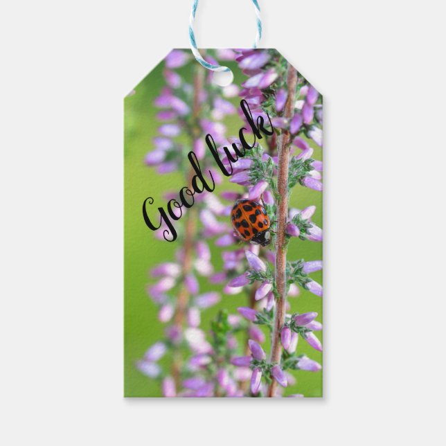 Étiquettes-cadeau Coccinelle sur fleur   -    (Devant)