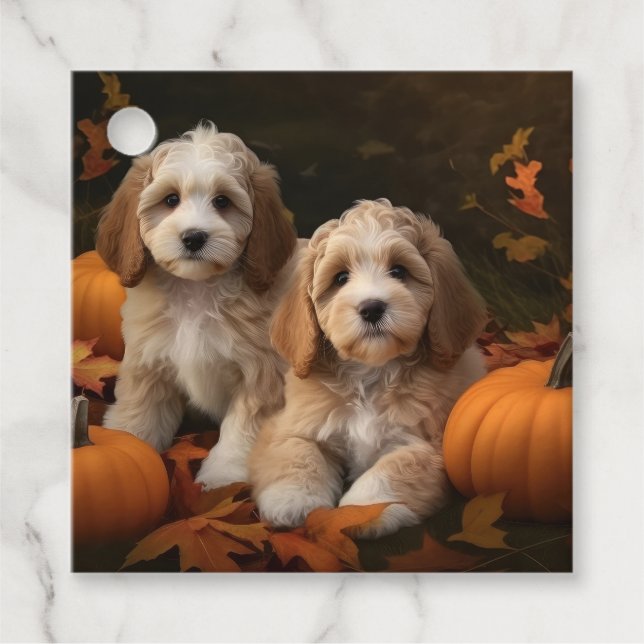 Étiquettes Cadeau Cockapoo Puppy Citrouille d'automne (Devant)