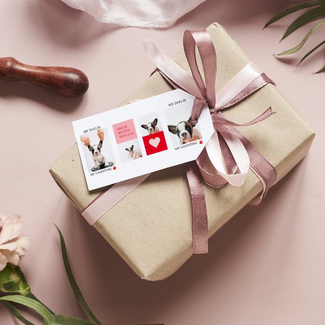 Étiquettes-cadeau Collage photos de chiens | Mon chien est ma Saint- (Créateur téléchargé)