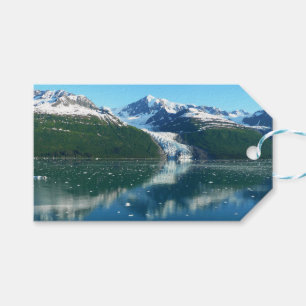 Étiquettes-cadeau College Fjord I Photographie de la belle Alaska