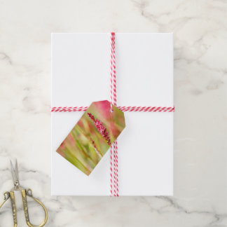 Étiquettes-cadeau coloris