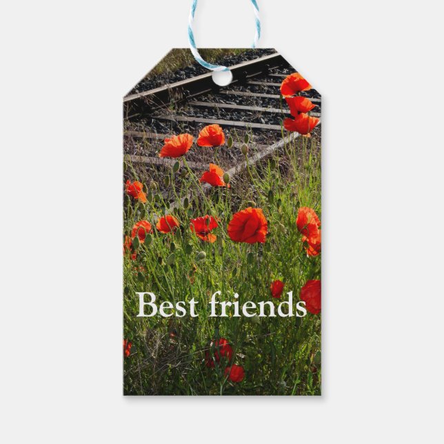 Étiquettes-cadeau Coquelicot sauvage          (Devant)