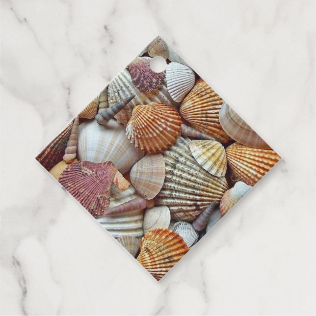 Étiquettes Cadeau Coques de mer à l'air chaud (Devant)