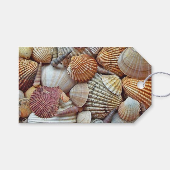 Étiquettes-cadeau Coquillages (Devant (Horizontal))