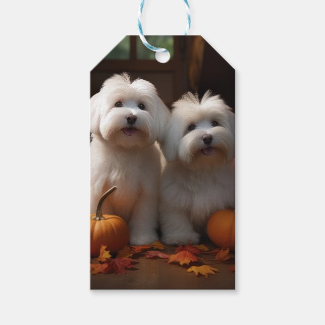 Étiquettes-cadeau Coton De Tulear Chiot Automne Citrouille délice (Devant)