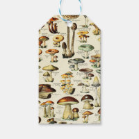 Cottagecore Champignons Naturaliste Vintage
