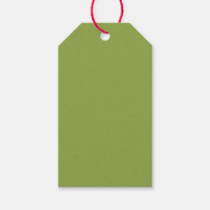 Étiquettes-cadeau Couleur solide verte à citron vert moyen