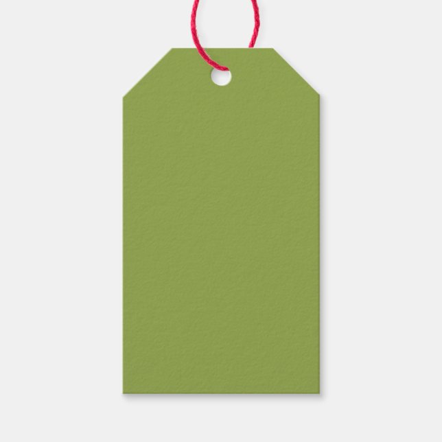 Étiquettes-cadeau Couleur solide verte à citron vert moyen (Devant)