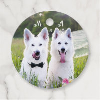 Couple de chiens romantiques se mariant