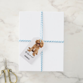 Étiquettes-cadeau Coussin de décoration de bar de fête amusant