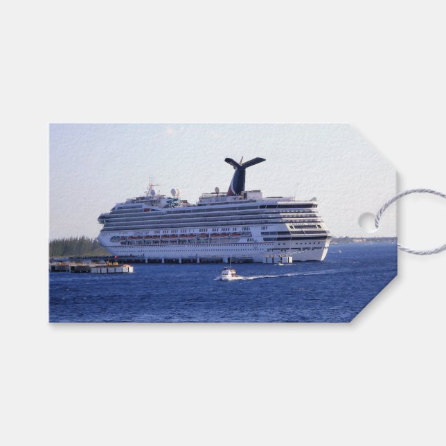 Étiquettes-cadeau Cozumel Cruise Ship Visit Custom (Devant (Horizontal))