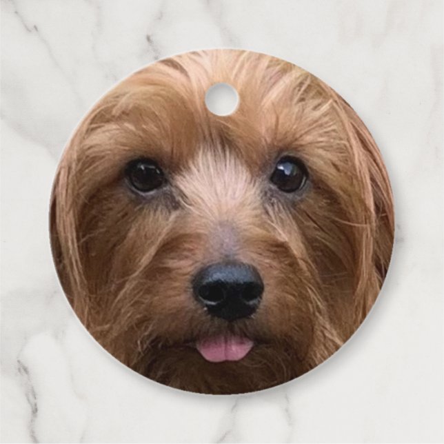 Étiquettes Cadeau Créez votre propre chien Photo personnalisée Chien (Devant)