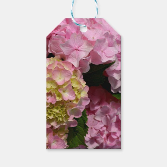 Étiquettes-cadeau Crème rose Hydrangeas jaune rose vert floral (Devant)