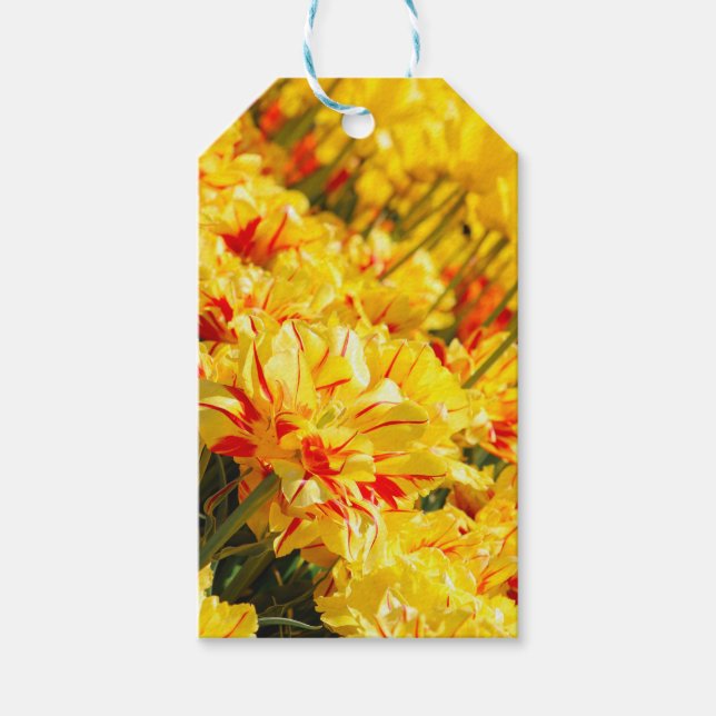 Étiquettes-cadeau Croissance en or (Devant)