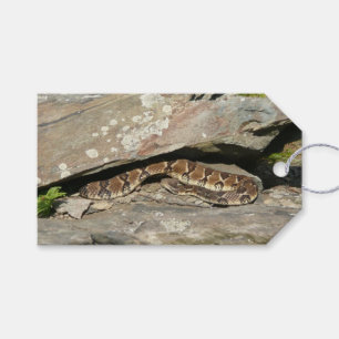 Étiquettes-cadeau Crotale à Shenandoah National Park