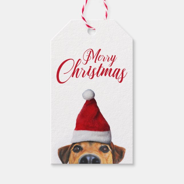 Étiquettes-cadeau Curieux mignon chien drôle avec chapeau de Père No (Devant)