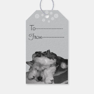 Étiquettes-cadeau Cute akita en chapeau santa rouge dormir