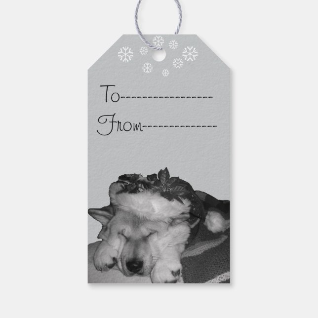 Étiquettes-cadeau Cute akita en chapeau santa rouge dormir (Dos)