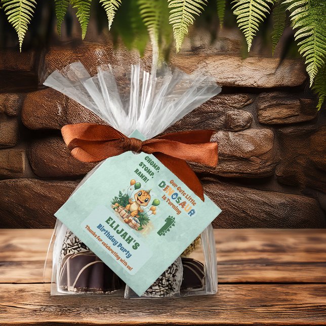 Étiquettes Cadeau Cute Little Dinosaur Garçon 1ère fête d'anniversai (Cute Little Dinosaur Boy's 1st Birthday Party Favor Tags)