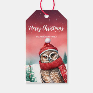 Étiquettes-cadeau Cute Owbird Père Noël Noël fête des enfants de nei