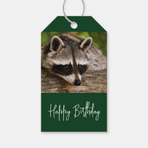 Étiquettes-cadeau Cute Raccoon reposant sur un journal Anniversaire