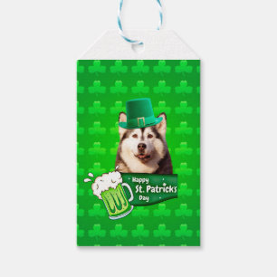 Étiquettes-cadeau Cute Siberian Husky Chien Casquette St. Patrick's 