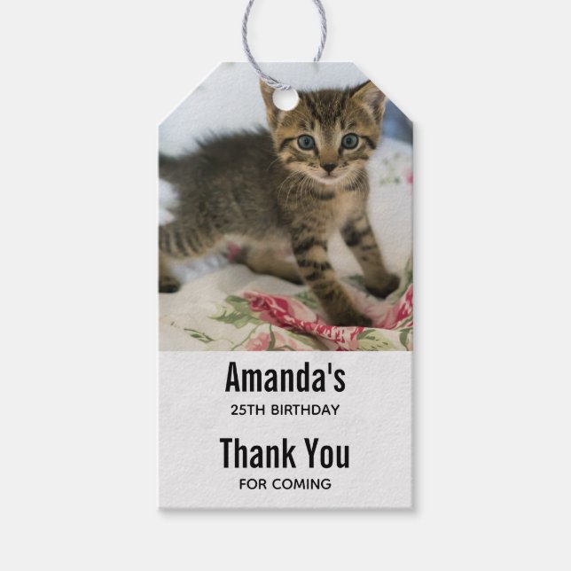 Étiquettes-cadeau Cute Tabby Kitten L'air surpris à l'anniversaire (Devant)