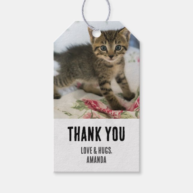 Étiquettes-cadeau Cute Tabby Kitten L'air surpris par le Merci (Devant)