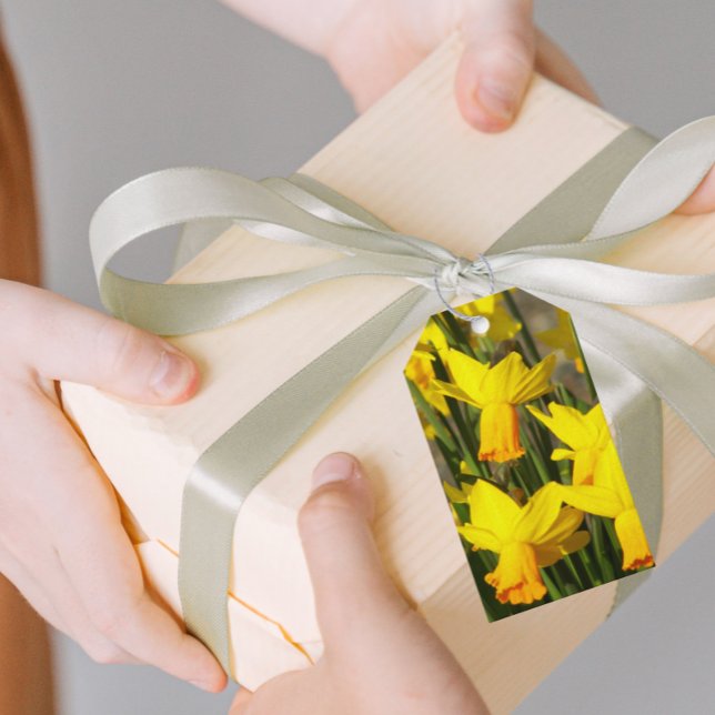 Étiquettes-cadeau Daffodiles de printemps jaune Floral (In Situ)