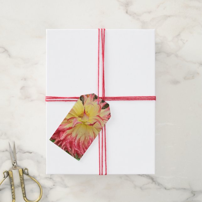 Étiquettes-cadeau Dahlia rose et jaune (Avec de la ficelle)