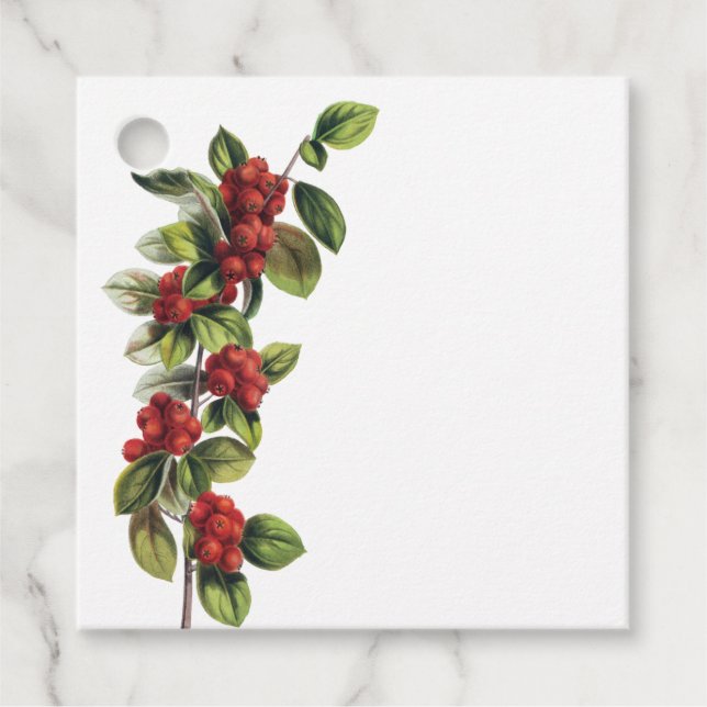 Étiquettes Cadeau de Noël Branche de Baies Rouges (Devant)