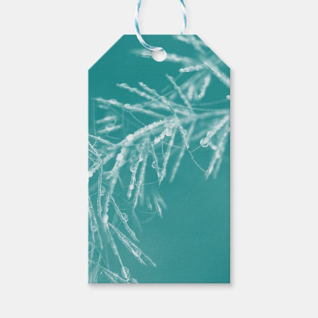 Étiquettes-cadeau Décorations de Noël de la nature (Devant)