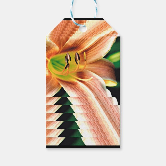 Étiquettes-cadeau Diminuer Daylily (Devant)