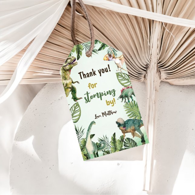 Étiquettes-cadeau Dinosaur Boy 3e fête d'anniversaire (Créateur téléchargé)