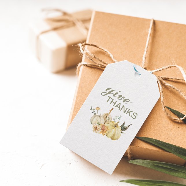 Étiquettes-cadeau Donner Merci Citrouille Aquarelle (Créateur téléchargé)