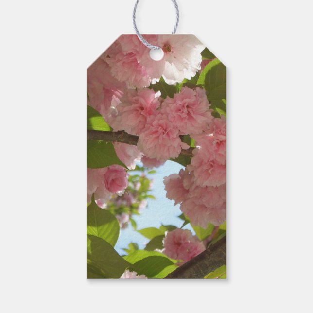 Étiquettes-cadeau Double floraison cerisier III printemps fleuri (Devant)