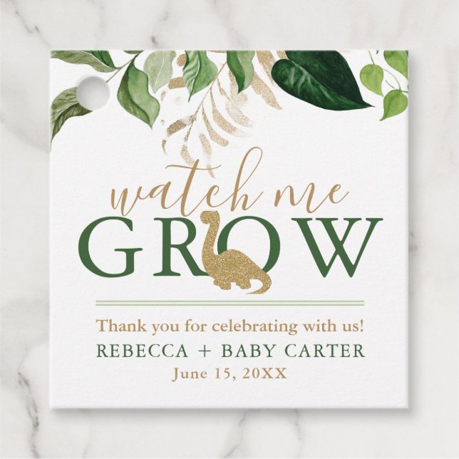 Étiquettes Cadeau Doux Dinosaur Me regarder grandir Plante Succulent (Devant)