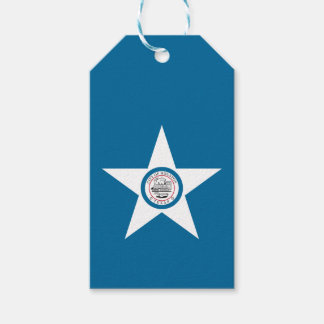 Étiquettes-cadeau Drapeau de la ville de Houston, Texas Tags cadeaux