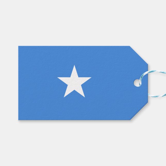 Étiquettes-cadeau Drapeau de Somalie (Devant (Horizontal))