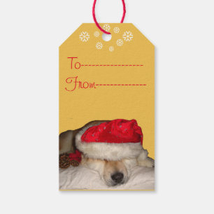 Étiquettes-cadeau drôle de photo de chien de mignonne akita pour No