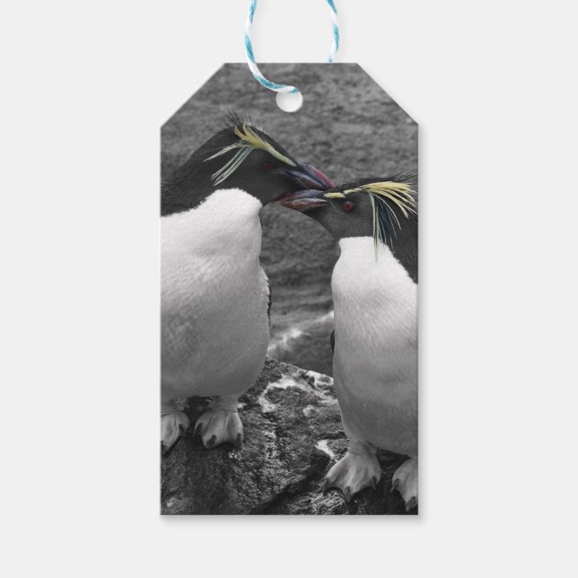 Étiquettes-cadeau Éclaboussure de couleur de pingouin (Devant)