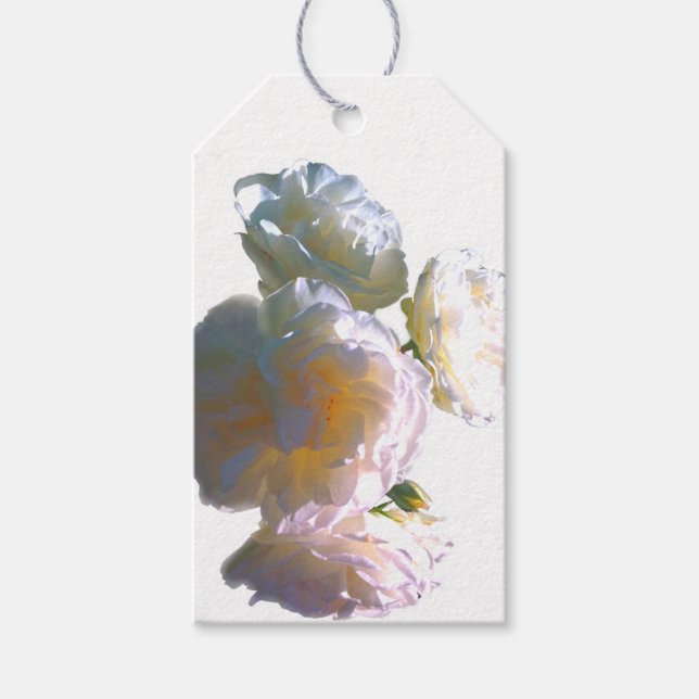 Étiquettes-cadeau Elégant blanc pêche orange roses (Devant)