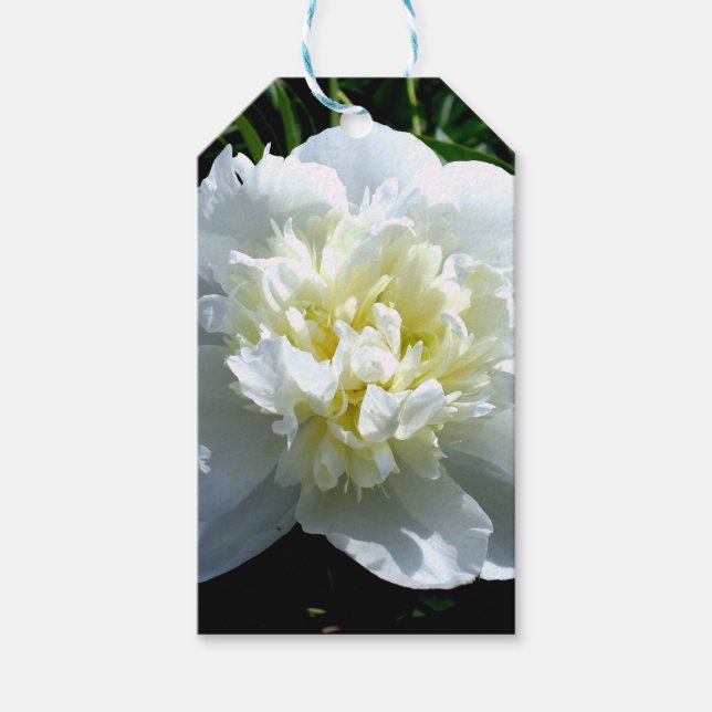 Étiquettes-cadeau Elégant blanc peony floral blanc photo (Devant)