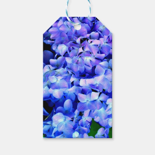 Étiquettes-cadeau Élégant bleu violet clair magenta hydrangée floral (Devant)