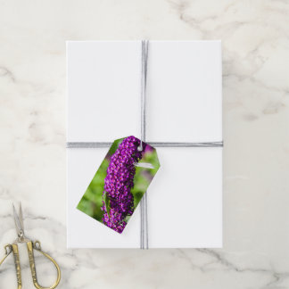 Étiquettes-cadeau énergie katydone
