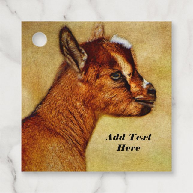 Étiquettes Cadeau Enfant de chèvre laitière naine nigériane personna (Devant)