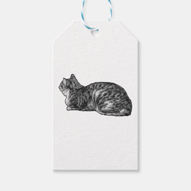 Étiquettes-cadeau Enveloppé de charme Tabby (Devant)